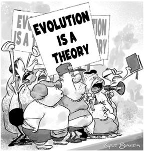 Cartoon Evolution is a Theory