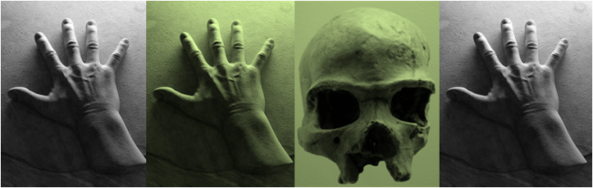 Hands Skull AA GPC cover