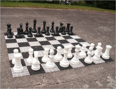 Down House clever outdoors game