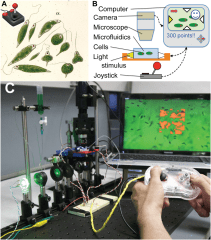 Biotic Game Design Project Integrated Life Science Engineering Education