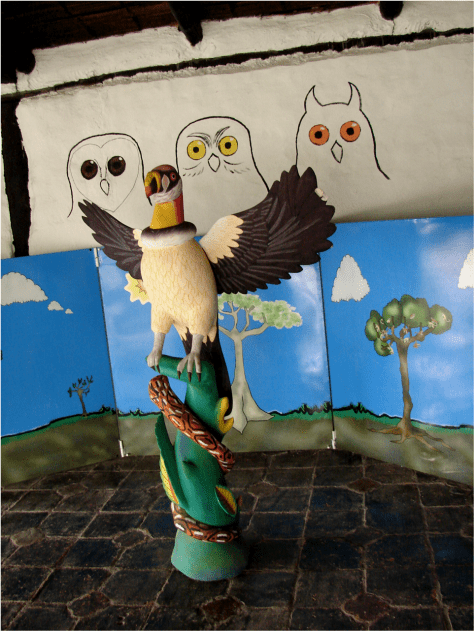 Bird Rehab Center Ecuador Photo G-Paz-y-Mino-C