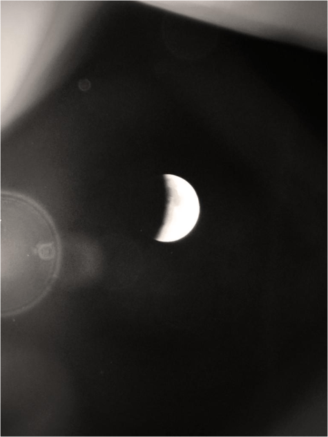 C Lunar Eclipse Newport - Photo G-Paz-y-Mino-C Sep 27 2015