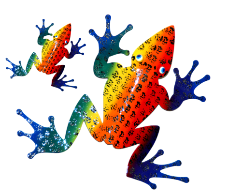 Frogs Color Evolution Literacy
