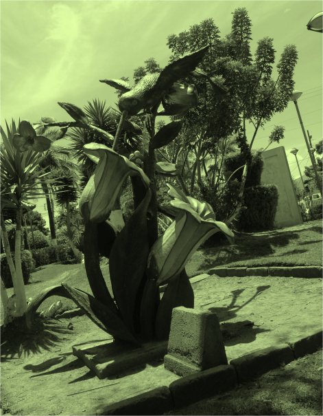 H Hummingbird Alangasi - Photo G-Paz-y-Mino-C 2014