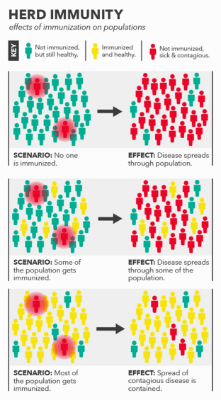 Herd Immunity