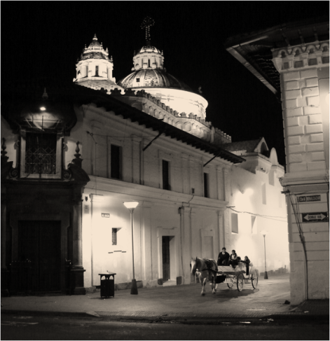 Horse Coach by Night Quito