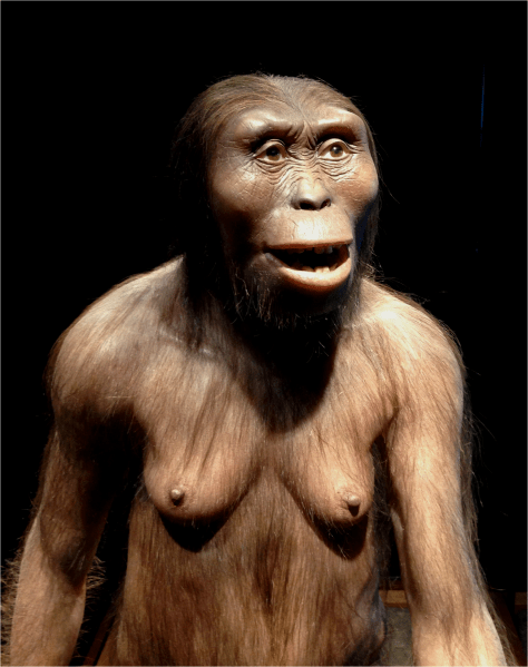 Lucy at Museum of Anthropology Mexico - Photo G-Paz-y-Mino-C 2015