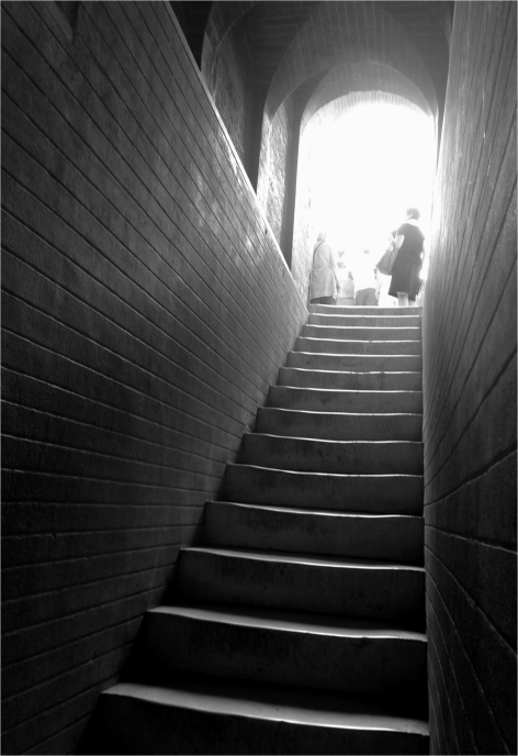 M Seville Cathedral - Photo G-Paz-y-Mino-C 2015