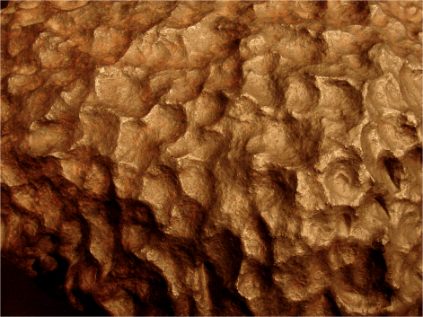 Meteorite Henbury Photo G-Paz-y-Mino-C 2010