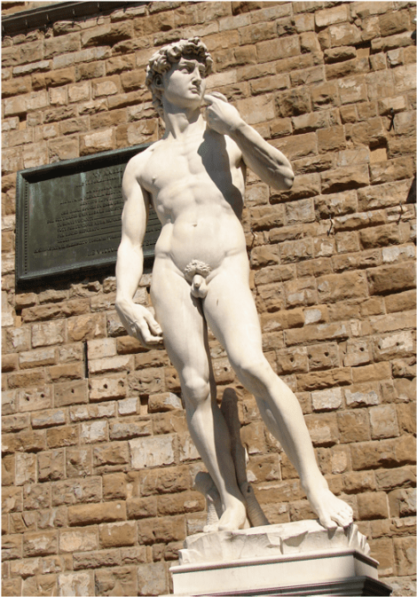 Replica David Miguel Angel