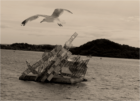 Sea Gull over sculpture Oslo 2012