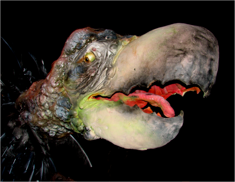 Strange Creature Zoology Museum Oslo