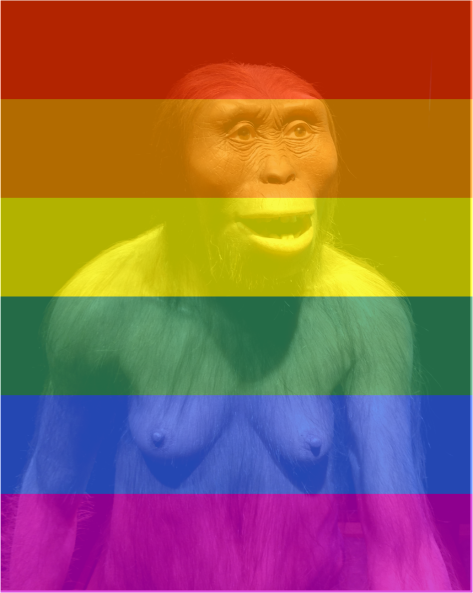 Lucy's Pride Australopithecus afarensis - Photo G-Paz-y-Mino-C 2015