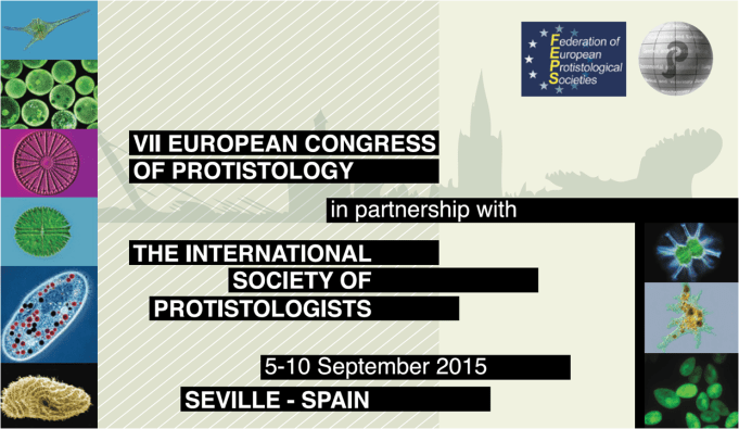 A - ISOP meeting Seville Spain 2015