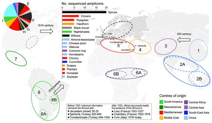 C - Shroud of Turin 2015