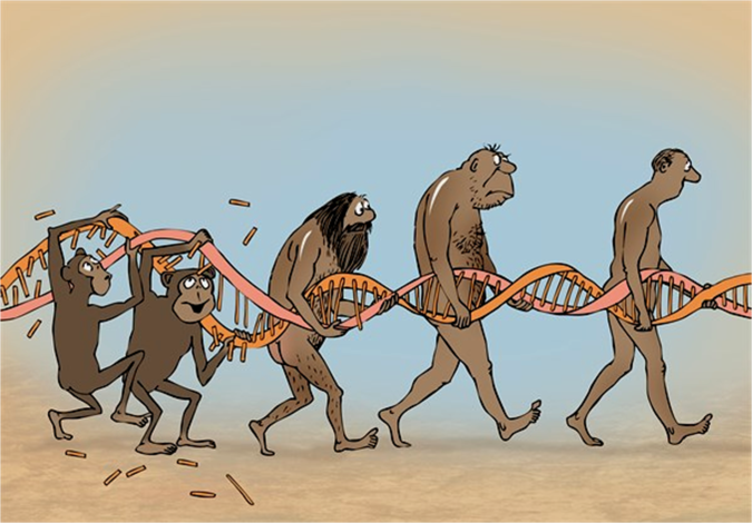 E - DNA Repair cartoon