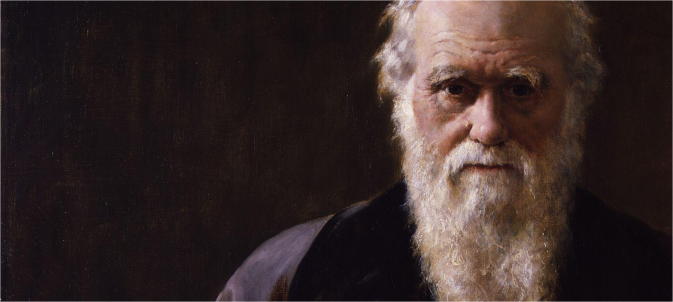 Darwin Painting