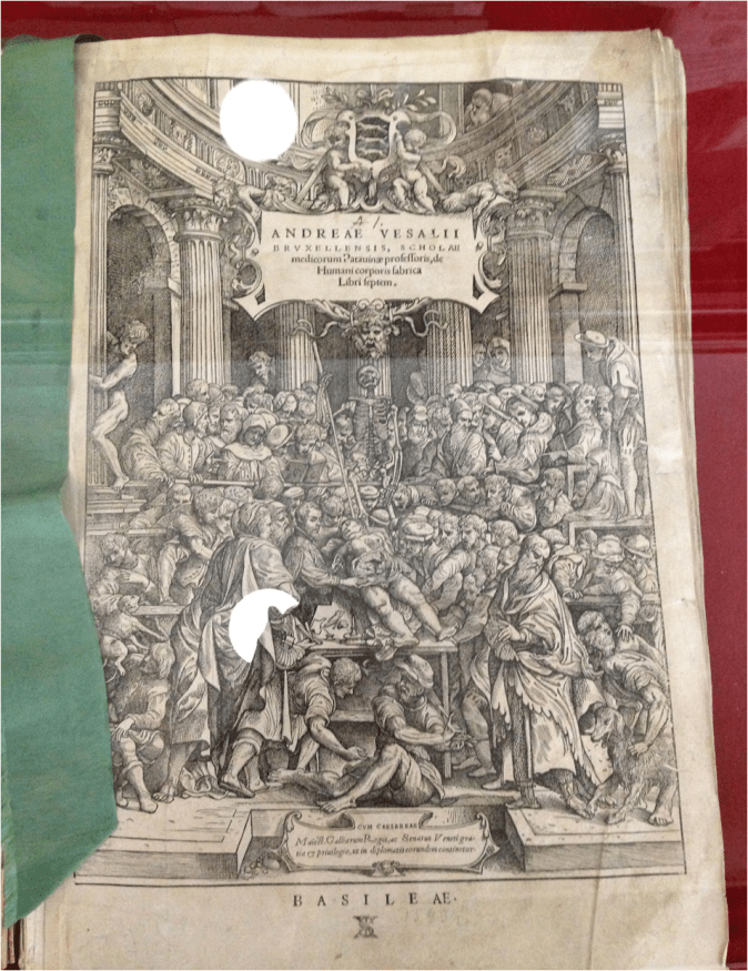 HUMANI CORPORIS FABRICA Book Museum Moscow - Photo G-Paz-y-Mino-C 2016