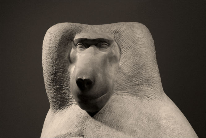 Babbon B&W National Portrait Gallery - Photo G-Paz-y-Mino-C 2016