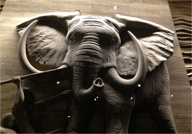 G The Hunt Museum Nat Hist Washington DC - Photo G-Paz-y-Mino-C 2016