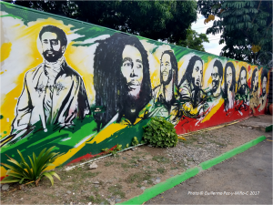 bob-marley-progeny-photo-g-paz-y-mino-c-2017