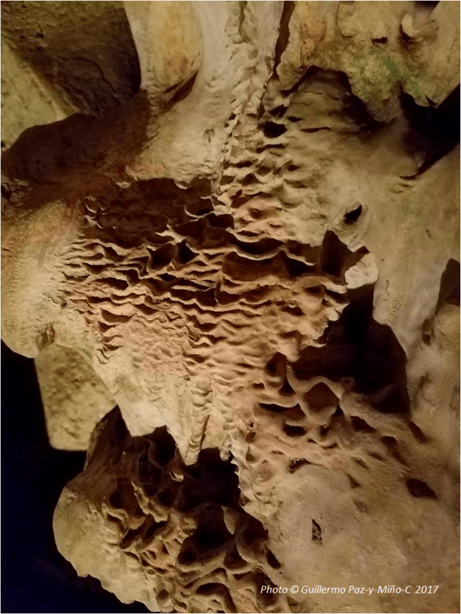 close-up-wall-green-grotto-caves-photo-g-paz-y-mino-c-2017