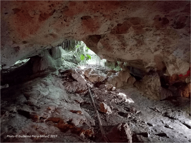 collapsed-entrance-to-green-grotto-caves-photo-g-paz-y-mino-c-2017