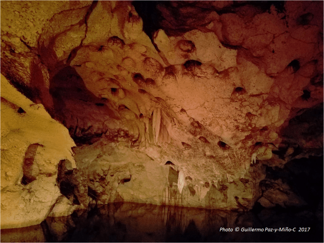 inner-pond-green-grotto-caves-photo-g-paz-y-mino-c-2017