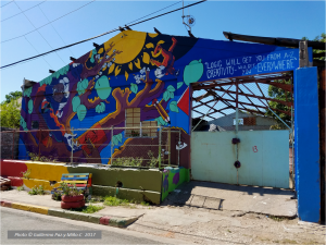 life-yard-logic-vs-creativity-photo-g-paz-y-mino-c-2017