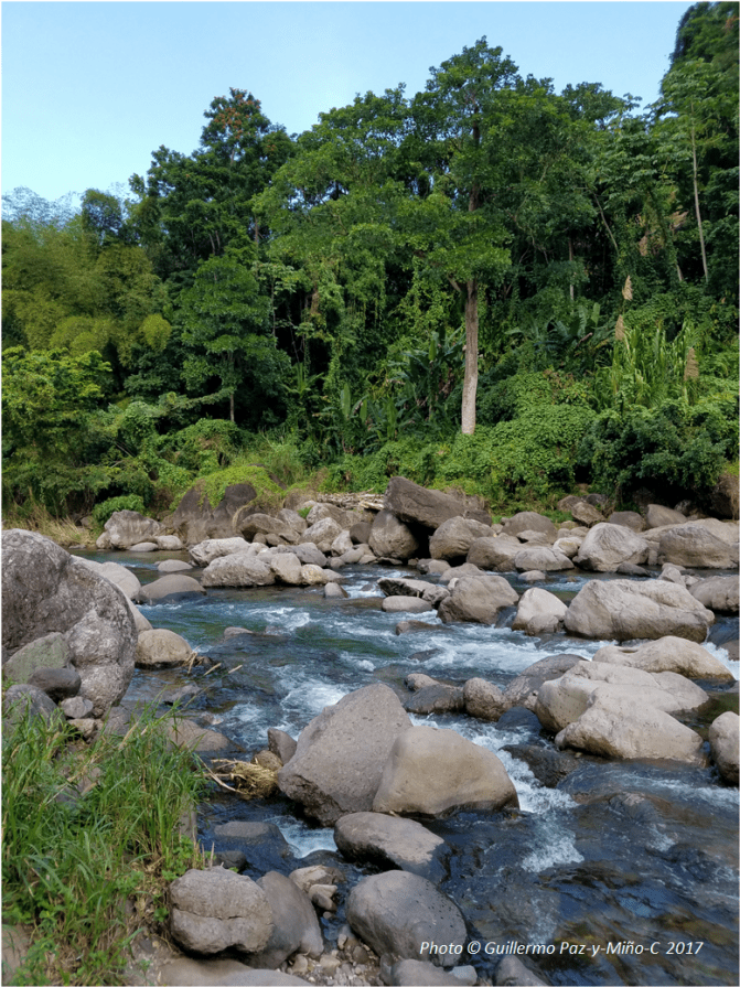 toms-river-castleton-botanic-gardens-photo-g-paz-y-mino-c-2017